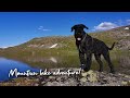 Solo hike to a mountain lake with my dog!