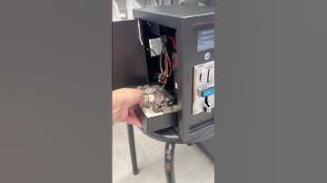 How Much Money Did Sintron ST-004 Make in One Month? 💰