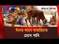 ভারতে ঈদের আগে খামারিদের চোখে পানি | Eid al-Adha | India | Kalbela