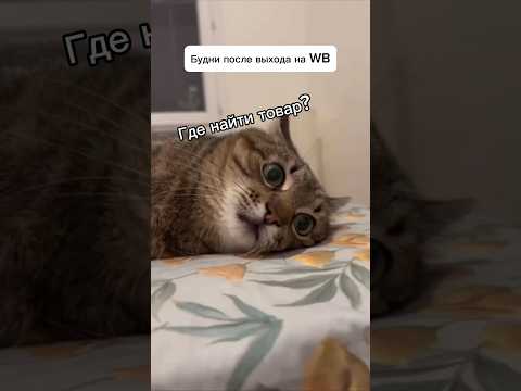 Вопросы, которые мучают каждого селлера😅 Подпишись, каждый день новые ролики!