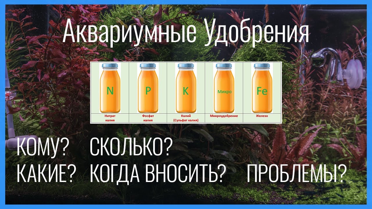 УДОБРЕНИЯ для аквариумных растений: полная инструкция по дозировкам. Кому? Какие? Сколько? Когда?