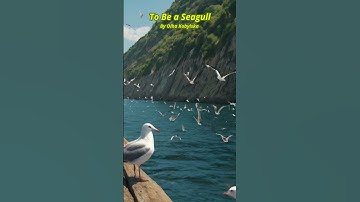 Thumbnail of To Be a Seagull #song #songs