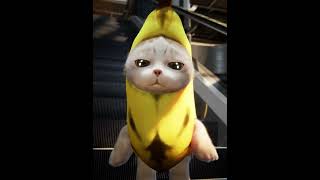 Banana  Cat is angry