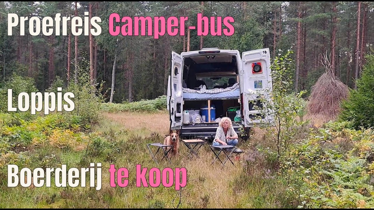 47e - In Zweden - 1e Proefreis met onze Camper, Loppis, Boerderij te koop...