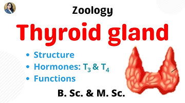 Thyroid gland || B. Sc. & M. Sc. || Zoology