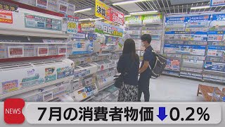 消費者物価指数　12ヵ月連続で下落（2021年8月20日）