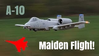 A-10 Thunderbolt II - Maiden Flight !!! ✈️ Freewing Twin 80mm EDF