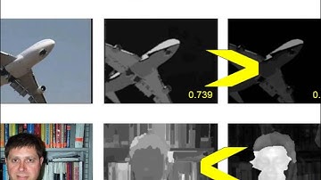 QCCE: Quality Constrained Co-saliency Estimation for Common Object Detection, VCIP