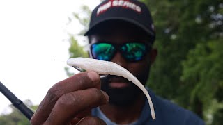 My Soft Plastic Jerkbait System | Bass Fishing Tackle Tutorial screenshot 3