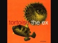 Tortoise  the ex  the lawn of the limp