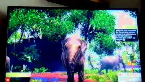 Zoo Tycoon - Tutorial Part.1 [Walkthrough]