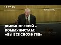 Жириновский – коммунистам: «Вы все сдохнете!» Дело Рашкина