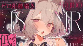 りちゃむ【Richamu】の配信のサムネイル画像
