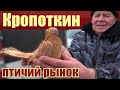 Птичий рынок. Кропоткин. Часть 5. [27.02.2022]