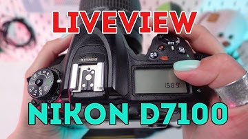 How to Use Live View on Nikon D7100: A Guide to Composition & Focus