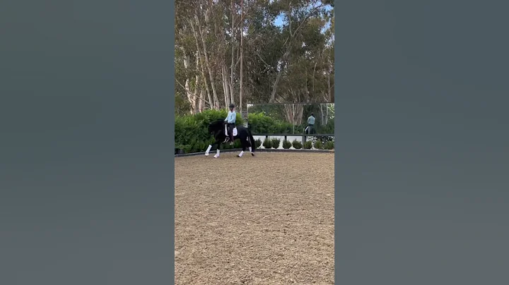 Shoulder in to Travers.