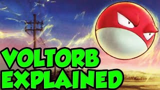 THE MYSTERY OF VOLTORB EXPLAINED!