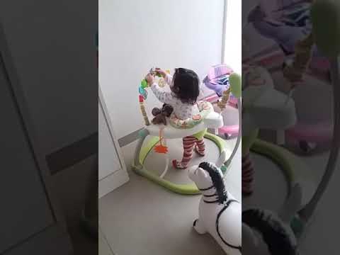 pula pula jumperoo fisher price