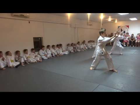 Klub realnog aikidoa i jujutsu Novi Sad Polaganje za pojaseve jun 2016 deca I i II grupa