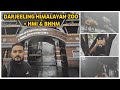 Darjeeling Himalayan Zoo Tour | HMI Museum &amp; BNHM | Animals, Ticket Price, Timings &amp; Complete Guide
