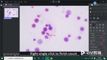How to count by Mshot software