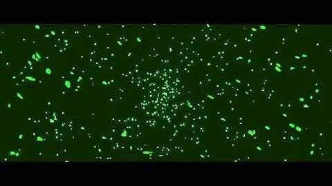 INTRO NO TEXT [FREE2USE]