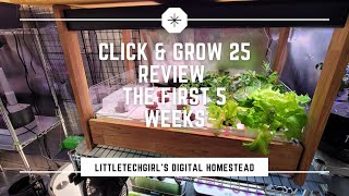 Click and Grow 25 Review | The First 5 Weeks