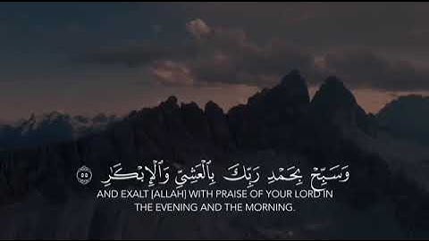 #سورة_غافر #حمزة_الفاضل 🌷🌷