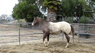 MVI_0791.AVI