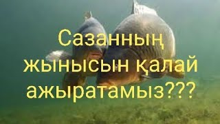 САЗАННЫҢ ӨНДІРУШІЛЕРІН ҚАЛАЙ ТАҢДАЙМЫЗ/ КАК ОТБИРАЕТСЯ ПРОИЗВОДИТЕЛИ САЗАНА