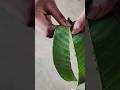 Craft leaf art handmade leafart youtube odia shortviral ytshorts trending