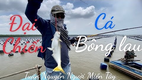 Đại chiến cá bông lau đầu mùa ở cửa biển đồng hoà cần giờ @ câu cá thiên nhiên.