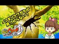 ノコギリクワガタが見つからない？！妖怪ウォッチ１ Part 17
