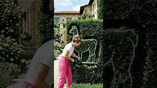 Oddly Satisfying Hedge T