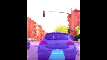 Image Segmentation video output