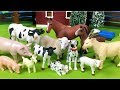 Lots of Toys Farm Animals for Kids - Baby Find Mom Video - Learn Animals Names