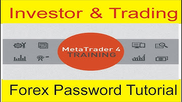 What Is Difference Between Investor And Trading Password New Tani Forex Tutorial in  Urdu and Hindi