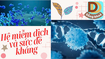 Sức đề kháng và hệ miễn dịch