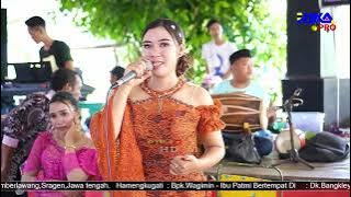 Podang Kuning BARASTA Esok awan neng omah wes ora krasan \\ RIKA HD