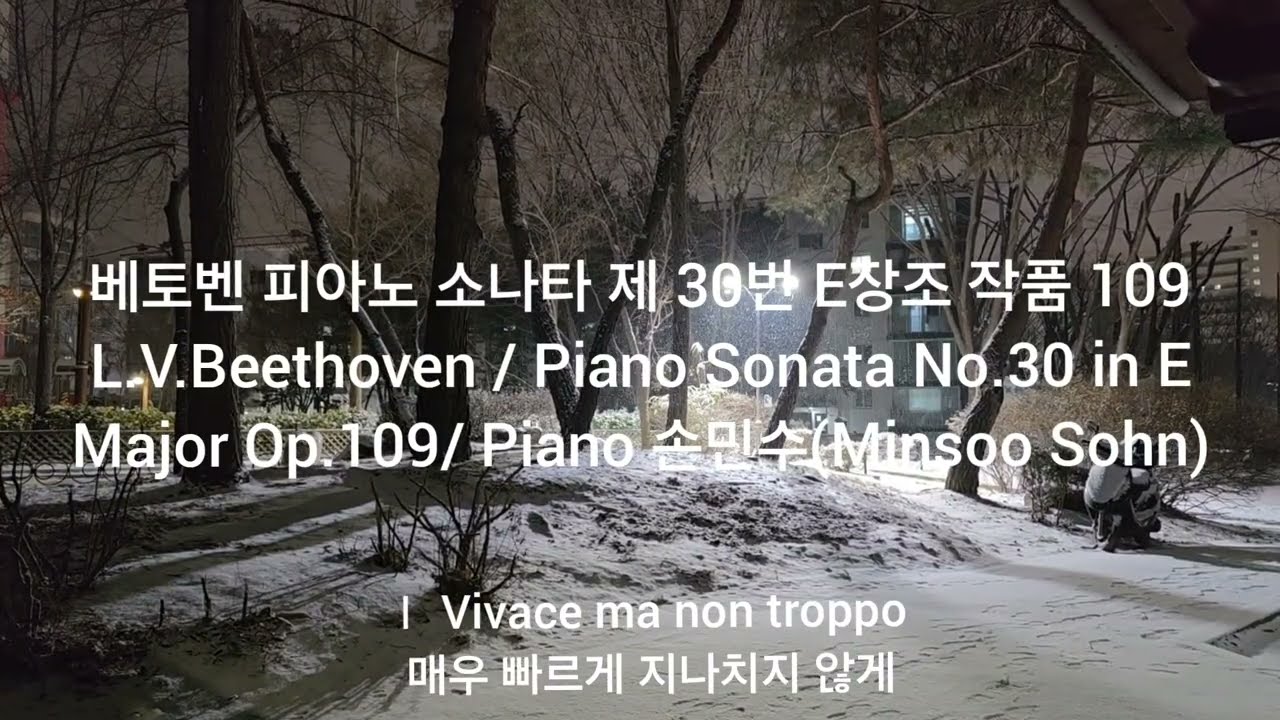 베토벤 피아노 소나타 제 30번 E장조 작품 109L.V.Beethoven / Piano Sonata No.30 in E Major Op.109/ 손민수 