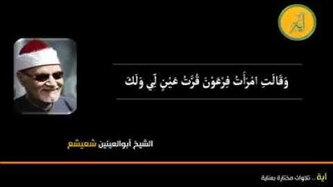 أجمل ما جوّد الشيخ أبو العينين شعيشع - روائع التلاوات