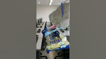 🐻‍❄️ MISSION IMPOSSIBLE SCENE  Bernie Impossible Roof Descent! 🎯 EpicFail or #MissionAccomplished?