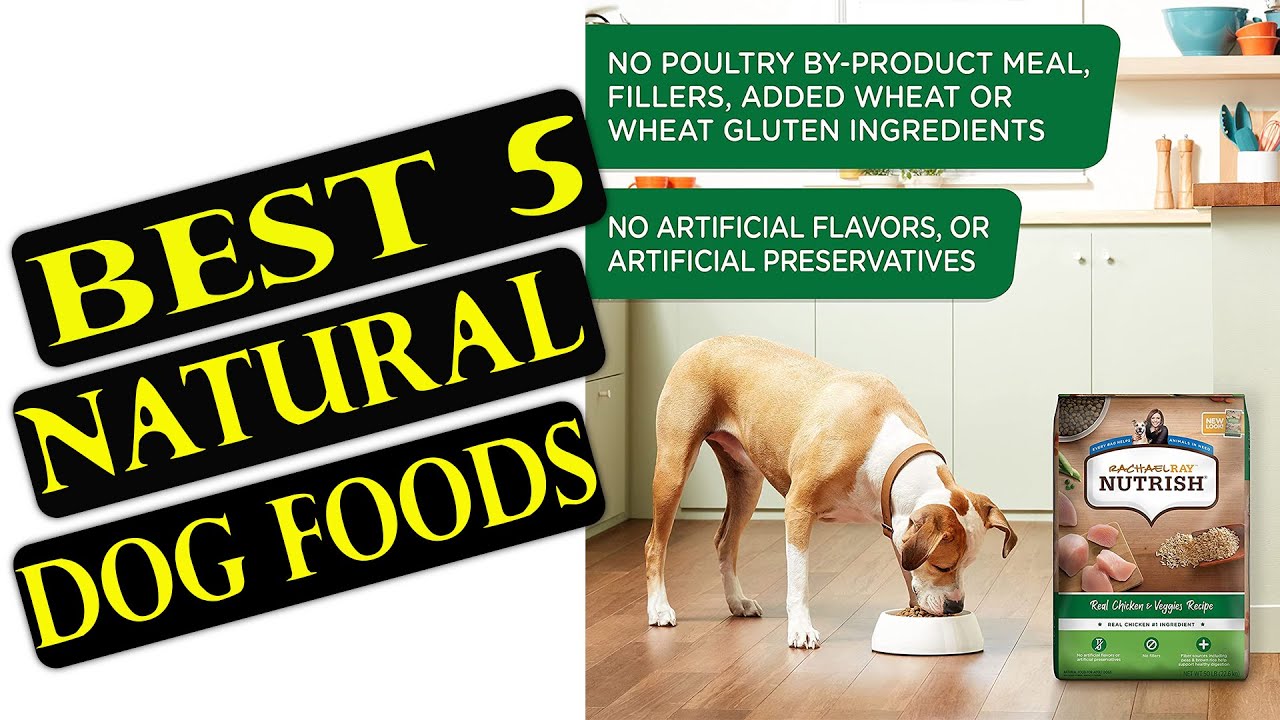the Best Natural Dog Foods - YouTube
