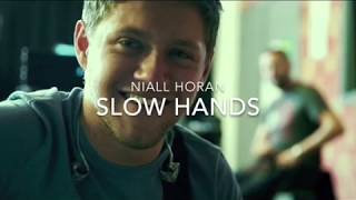 Slow Hands-Niall Horan (Lyric Video)