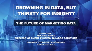 The Future of Marketing Data - Drowning in Data, but Thirsty for Insight?