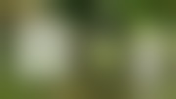 How to Make a HENDRICK