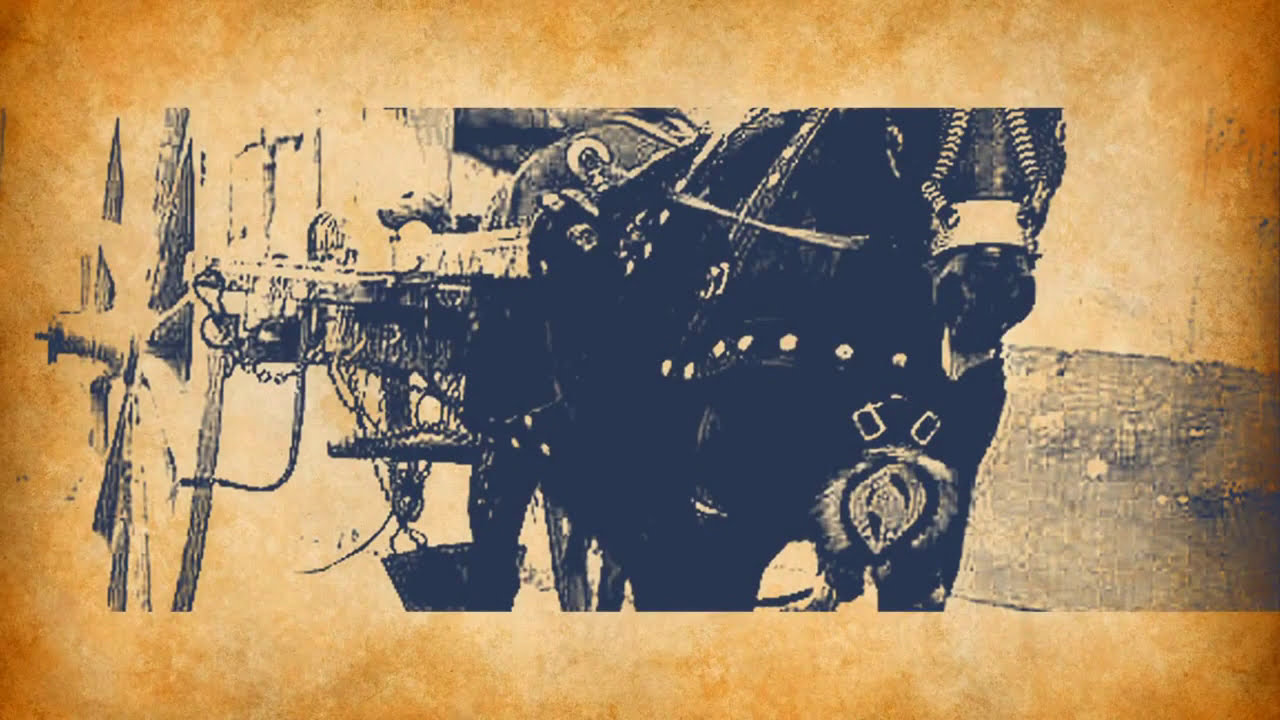 Salento anni 50   60 visto da Franco Corvaglia