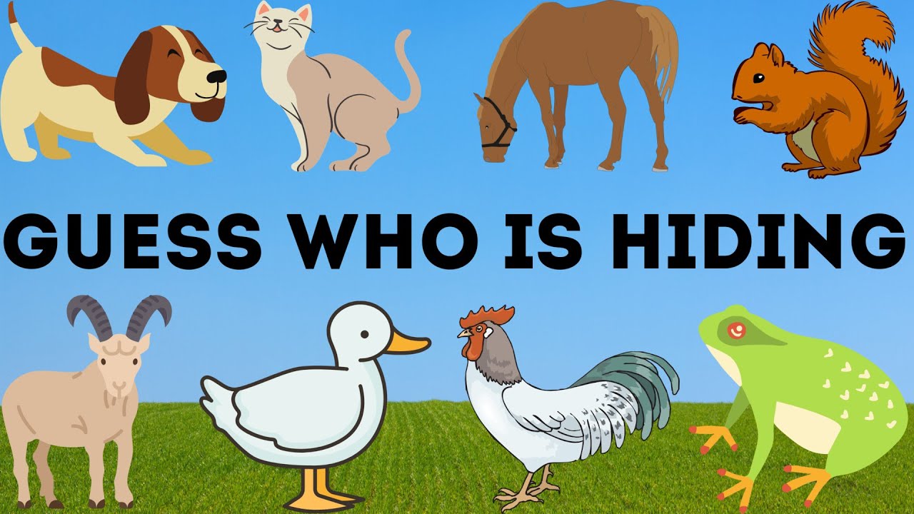 Educational video for kids. Guess who's hiding! Guess the animal. - YouTube