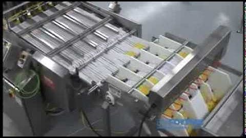 Frozen Waffle Laner Conveyor Video Forpak