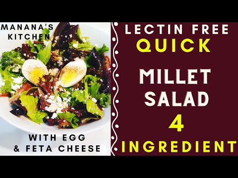 Easy Salad Recipe for Lunch  4 Ingredients Millet (Lectin Free Lunch Recipe) QUICK HEALTHY LUNCH